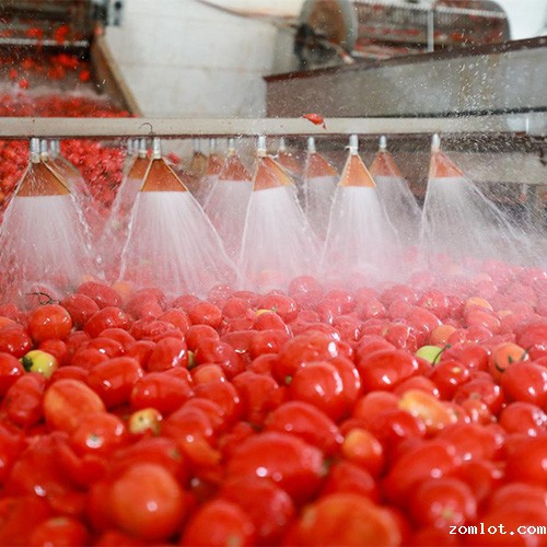 食品开云娱乐官网首页网址 vs 胶囊粘度计：食品与制药行业的核心对比